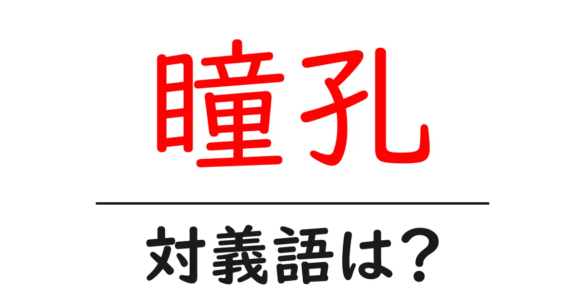 瞳孔の対義語・反対語を使用例を交えて分かりやすく解説！