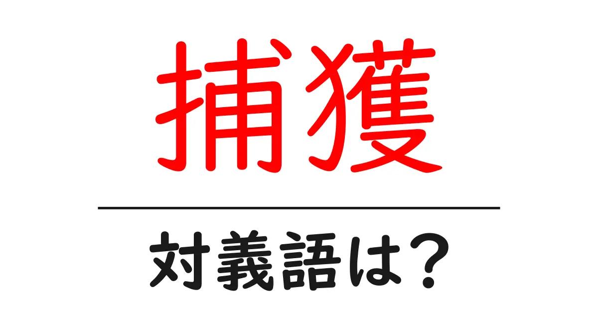 捕獲の対義語・反対語を使用例を交えて分かりやすく解説!