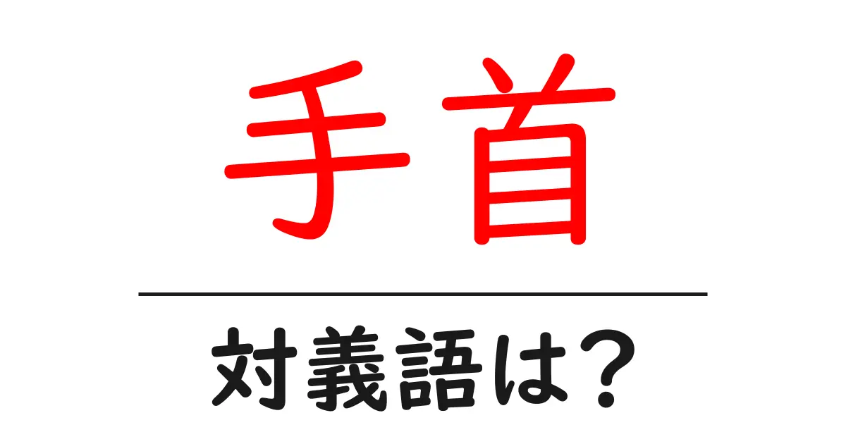 手首の対義語・反対語を使用例を交えて分かりやすく解説!