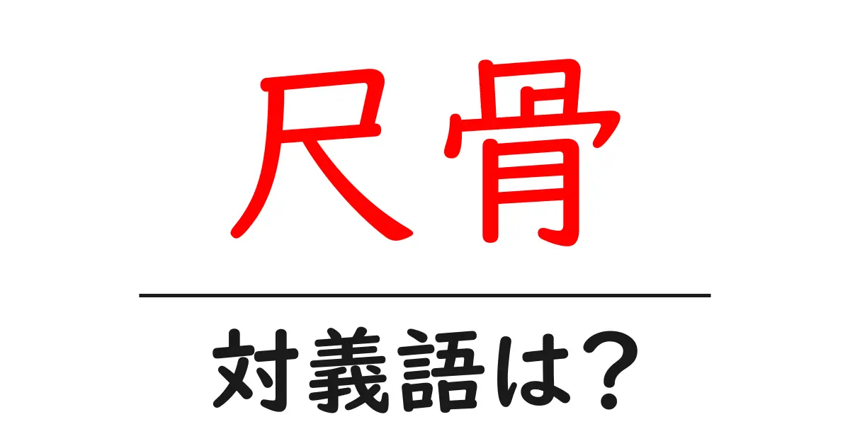 尺骨の対義語・反対語を使用例を交えて分かりやすく解説！