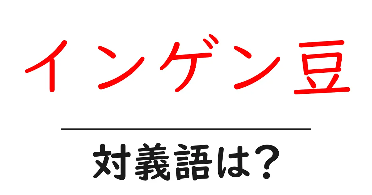 インゲン豆の対義語・反対語を使用例を交えて分かりやすく解説!