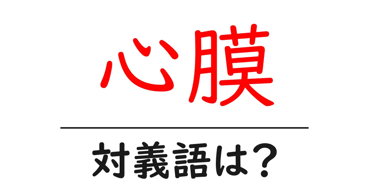 心膜の対義語・反対語を使用例を交えて分かりやすく解説!