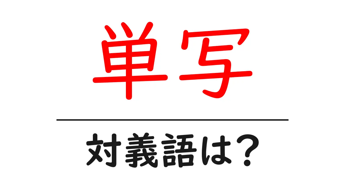 単写の対義語・反対語を使用例を交えて分かりやすく解説!