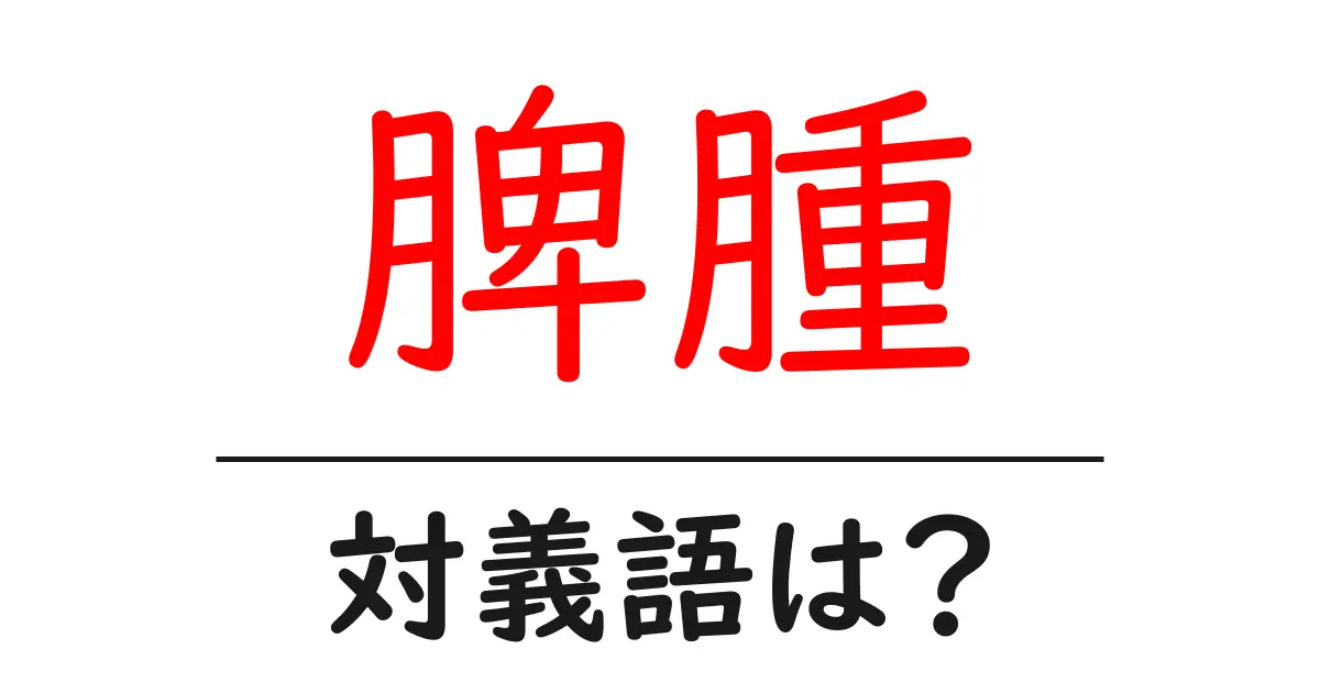 脾腫の対義語・反対語を使用例を交えて分かりやすく解説!