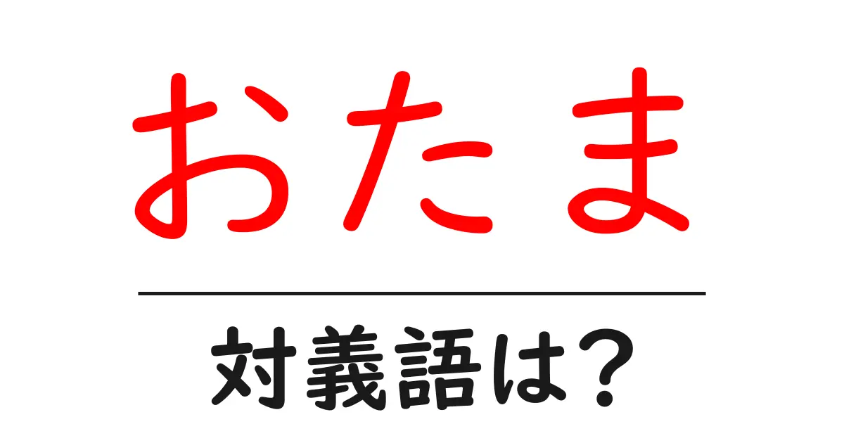 おたまの対義語・反対語を使用例を交えて分かりやすく解説!