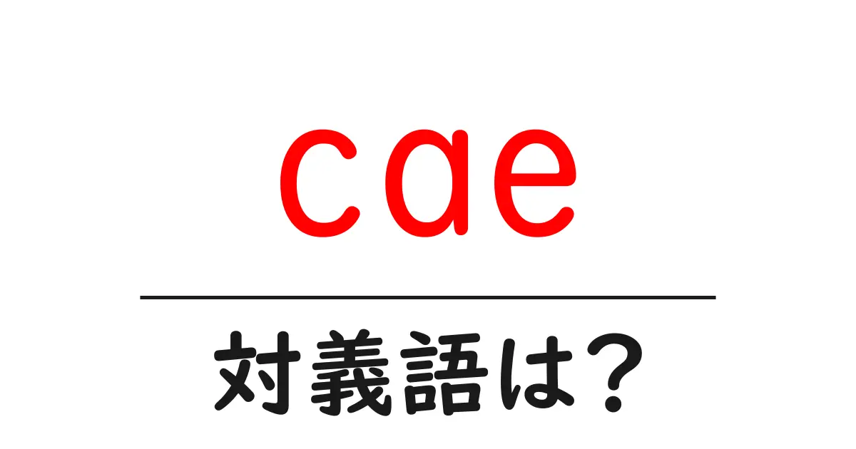 caeの対義語・反対語を使用例を交えて分かりやすく解説!