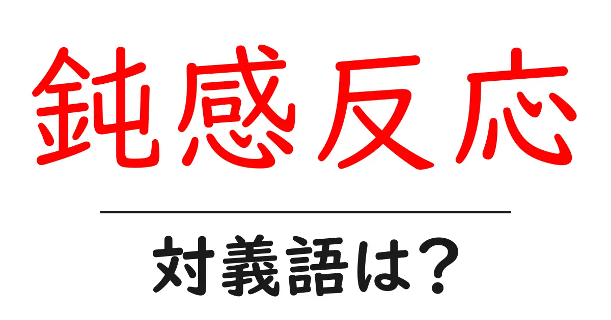 鈍感反応の対義語・反対語を使用例を交えて分かりやすく解説!