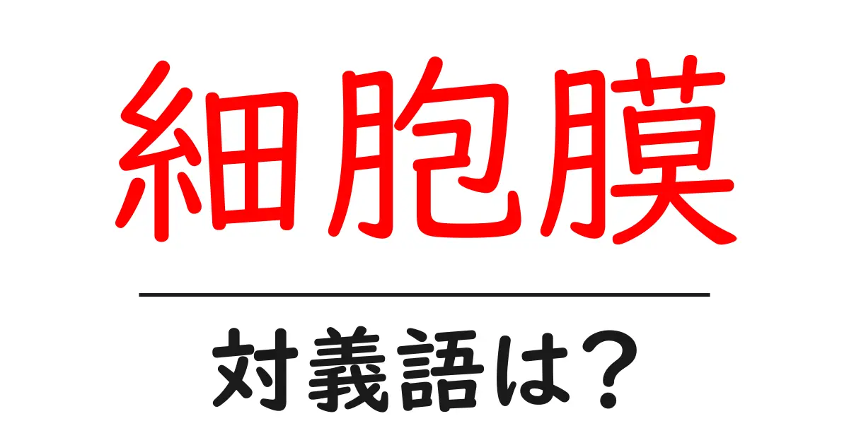 細胞膜の対義語・反対語を使用例を交えて分かりやすく解説!