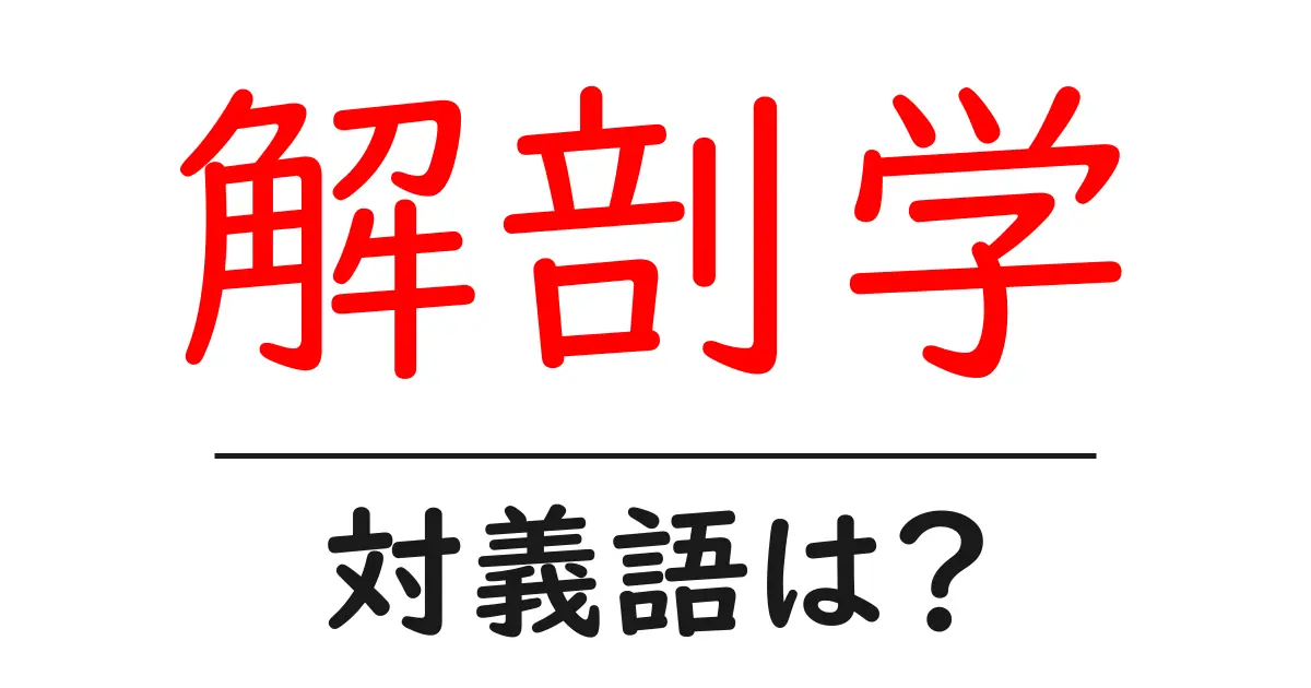 解剖学の対義語・反対語を使用例を交えて分かりやすく解説!