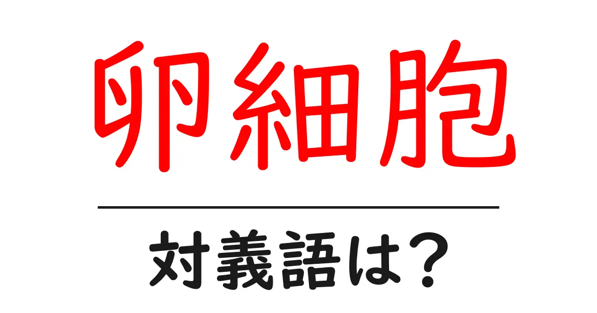 卵細胞の対義語・反対語を使用例を交えて分かりやすく解説!