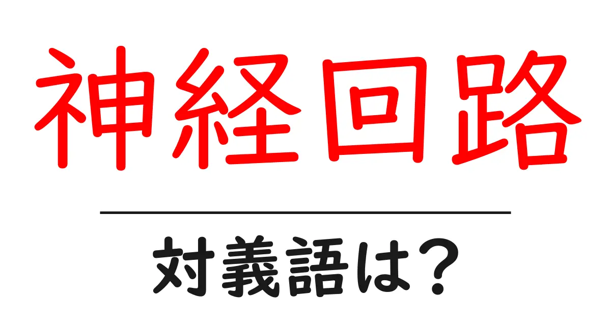 神経回路の対義語・反対語を使用例を交えて分かりやすく解説!