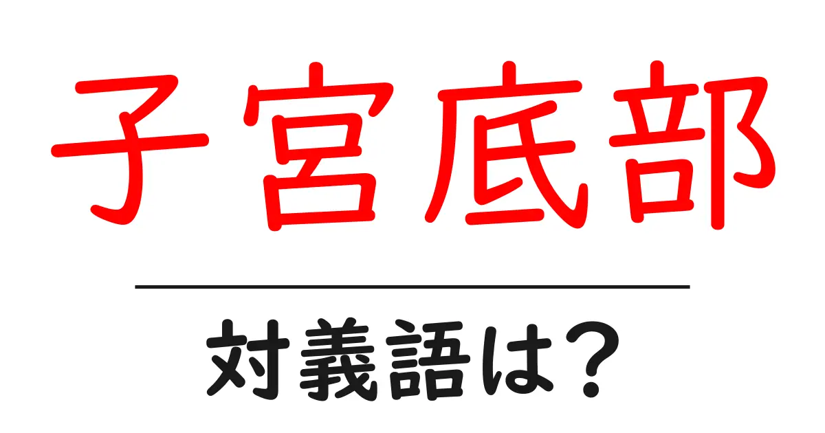 子宮底部の対義語・反対語を使用例を交えて分かりやすく解説!