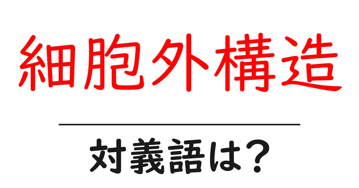 細胞外構造の対義語・反対語を使用例を交えて分かりやすく解説！