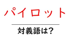 パイロットの対義語・反対語を使用例を交えて分かりやすく解説！
