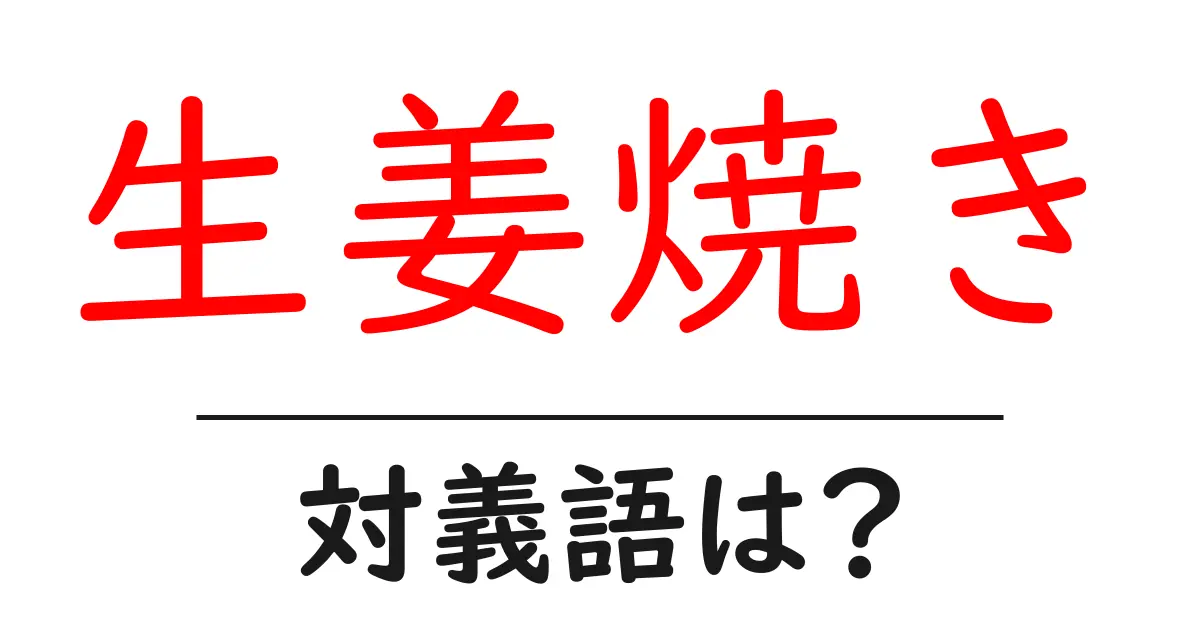 生姜焼きの対義語・反対語を使用例を交えて分かりやすく解説!