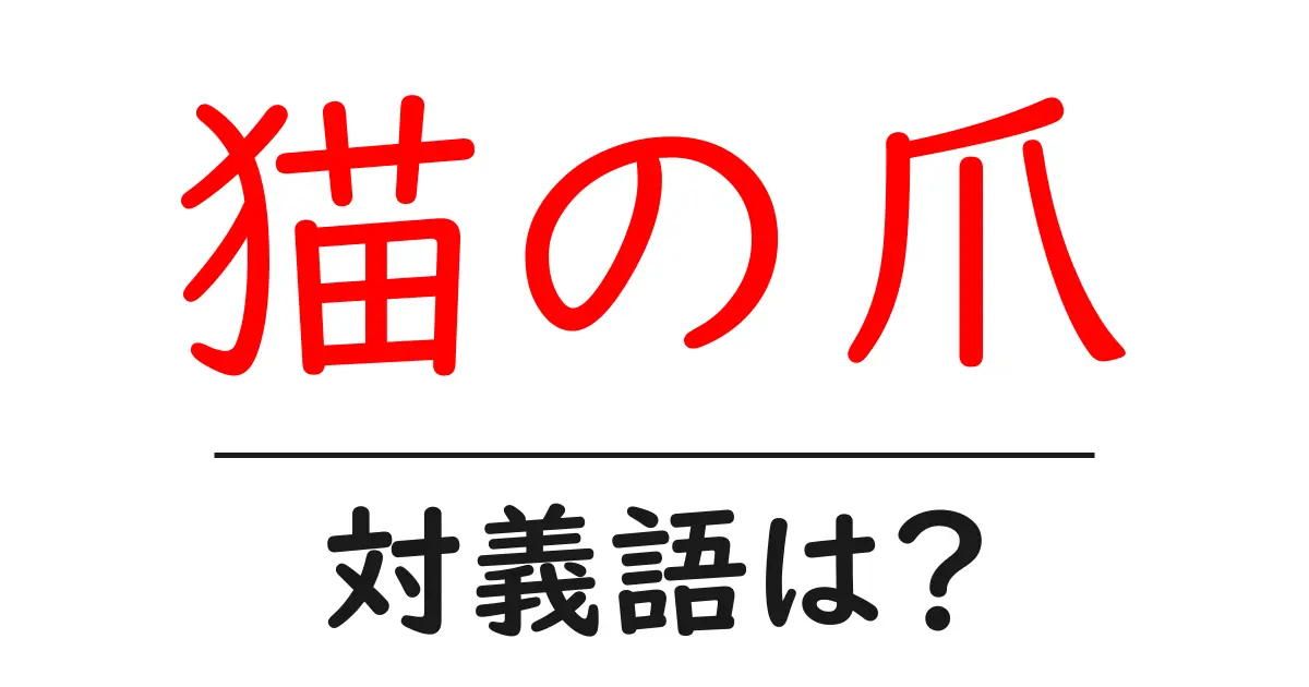 猫の爪の対義語・反対語を使用例を交えて分かりやすく解説！