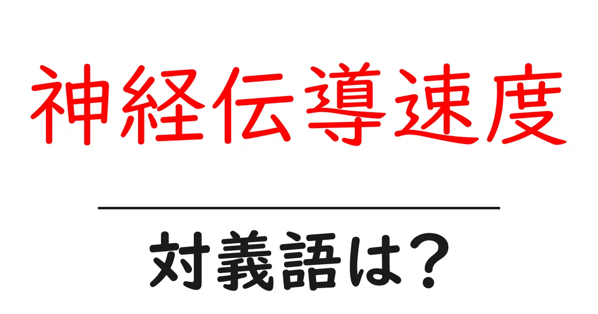 神経伝導速度の対義語・反対語を使用例を交えて分かりやすく解説!