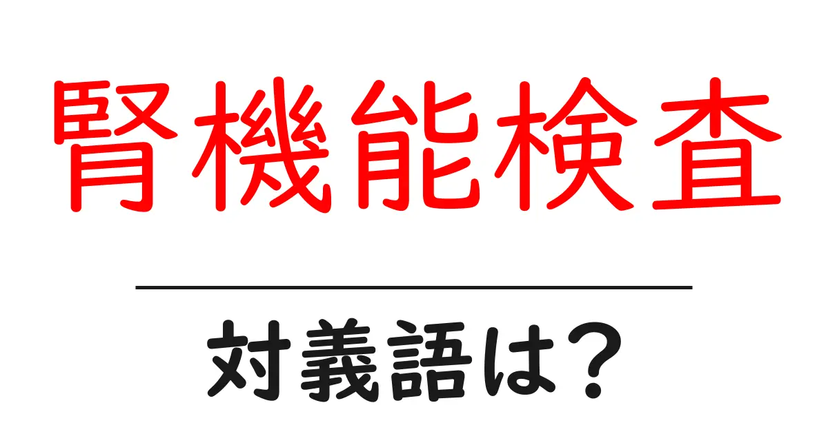 腎機能検査の対義語・反対語を使用例を交えて分かりやすく解説！