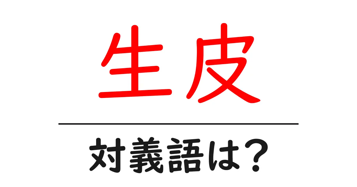 生皮の対義語・反対語を使用例を交えて分かりやすく解説！