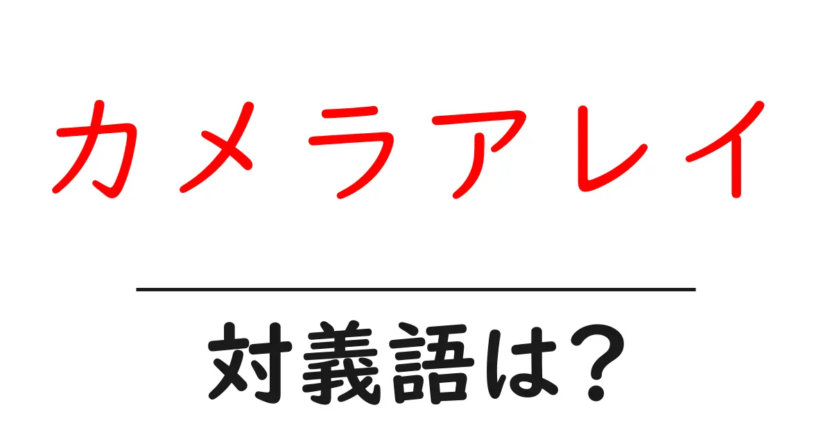 カメラアレイの対義語・反対語を使用例を交えて分かりやすく解説！