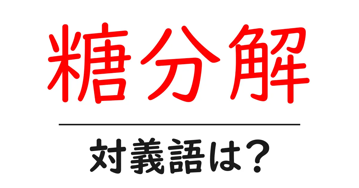 糖分解の対義語・反対語を使用例を交えて分かりやすく解説!