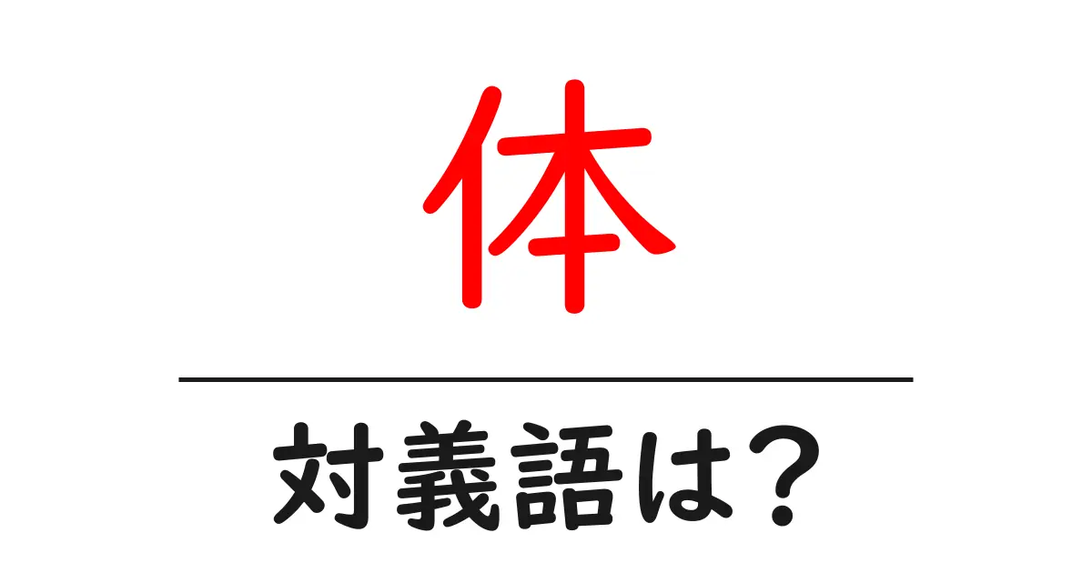 体の対義語・反対語を使用例を交えて分かりやすく解説!
