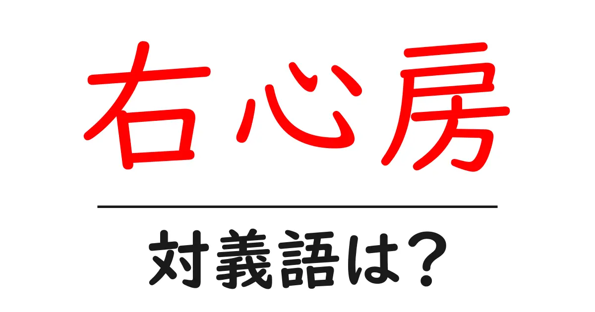 右心房の対義語・反対語を使用例を交えて分かりやすく解説!