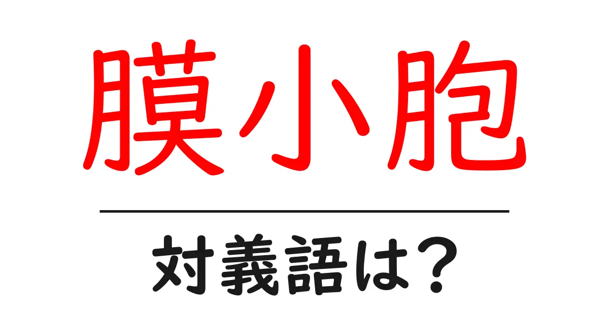 膜小胞の対義語・反対語を使用例を交えて分かりやすく解説!