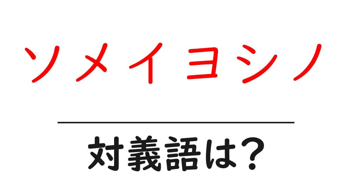 ソメイヨシノの対義語・反対語を使用例を交えて分かりやすく解説!