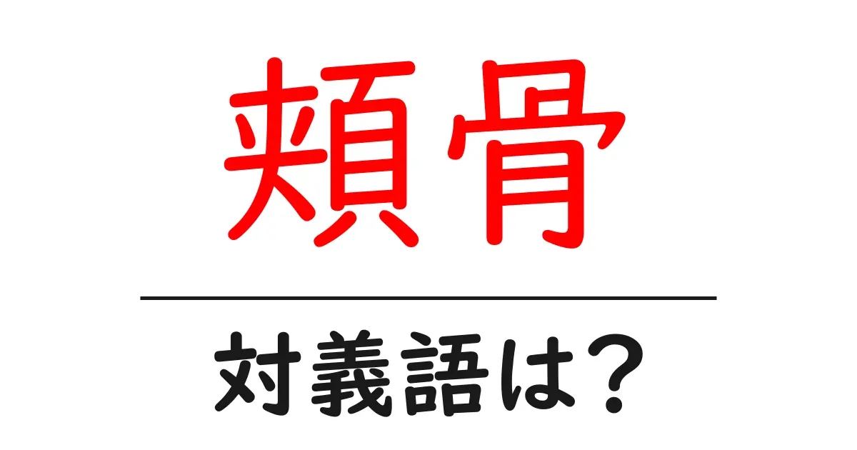 頬骨の対義語・反対語を使用例を交えて分かりやすく解説!