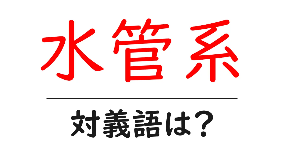 水管系の対義語・反対語を使用例を交えて分かりやすく解説！