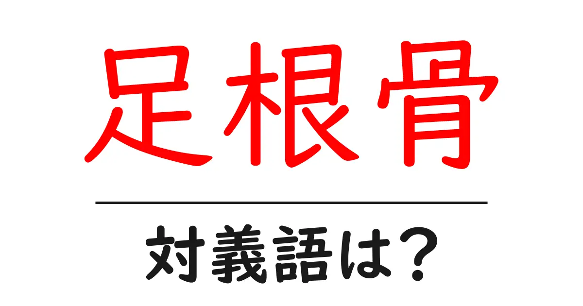 足根骨の対義語・反対語を使用例を交えて分かりやすく解説!