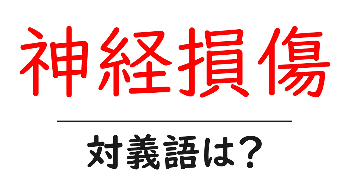 神経損傷の対義語・反対語を使用例を交えて分かりやすく解説!