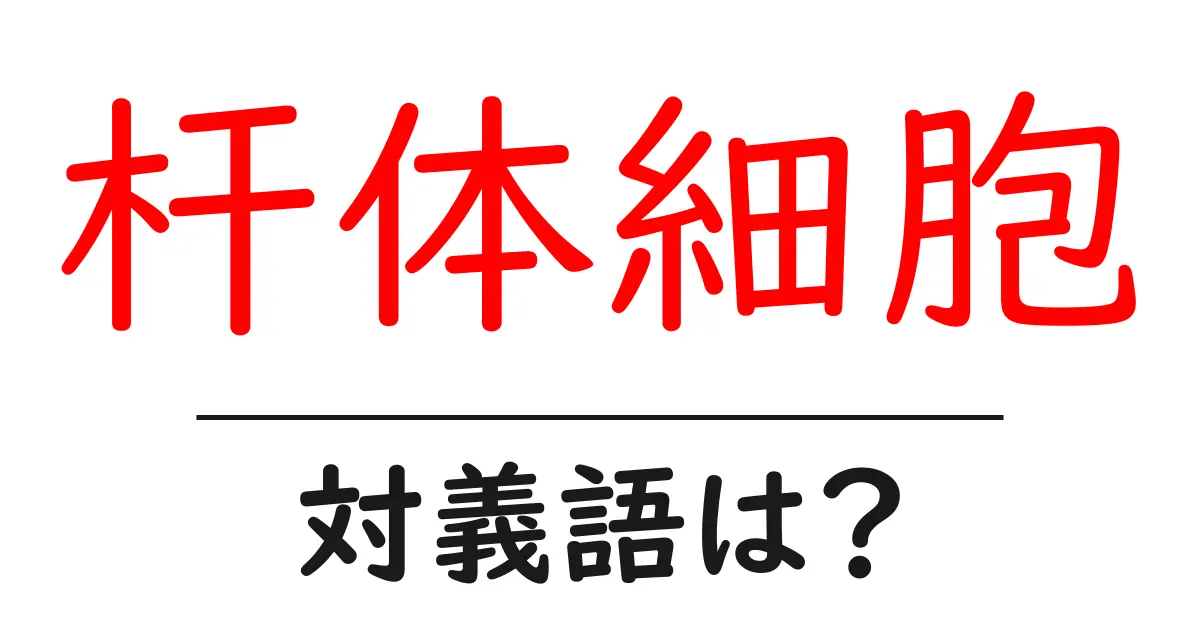 杆体細胞の対義語・反対語を使用例を交えて分かりやすく解説!