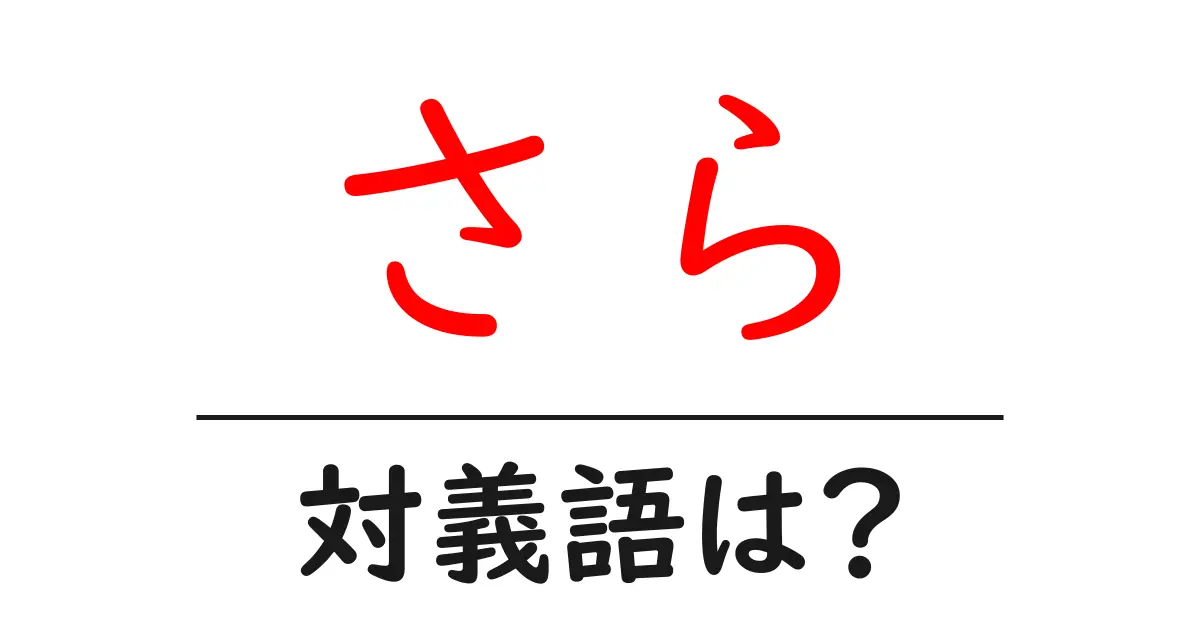 さらの対義語・反対語を使用例を交えて分かりやすく解説!
