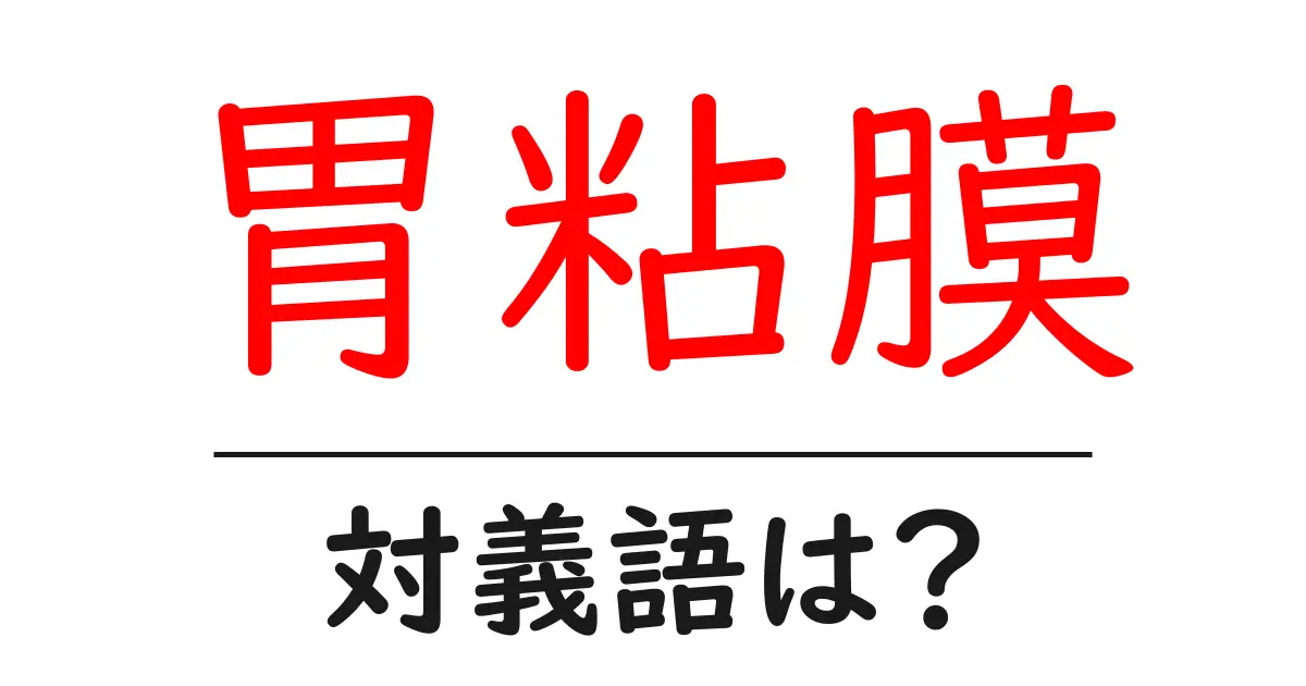 胃粘膜の対義語・反対語を使用例を交えて分かりやすく解説！