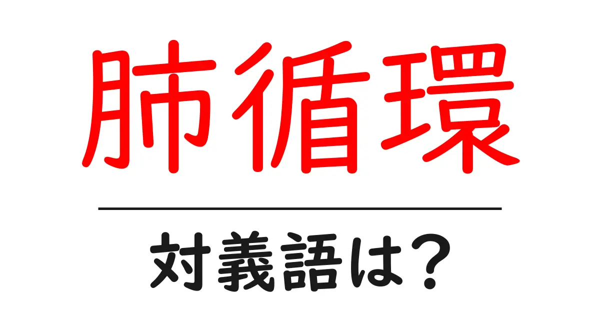 肺循環の対義語・反対語を使用例を交えて分かりやすく解説!