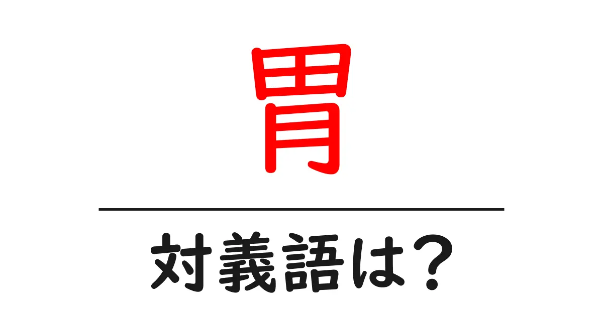胃の対義語・反対語を使用例を交えて分かりやすく解説!