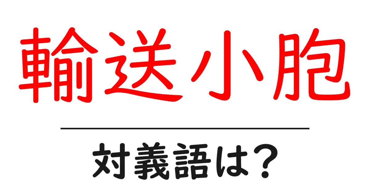 輸送小胞の対義語・反対語を使用例を交えて分かりやすく解説!