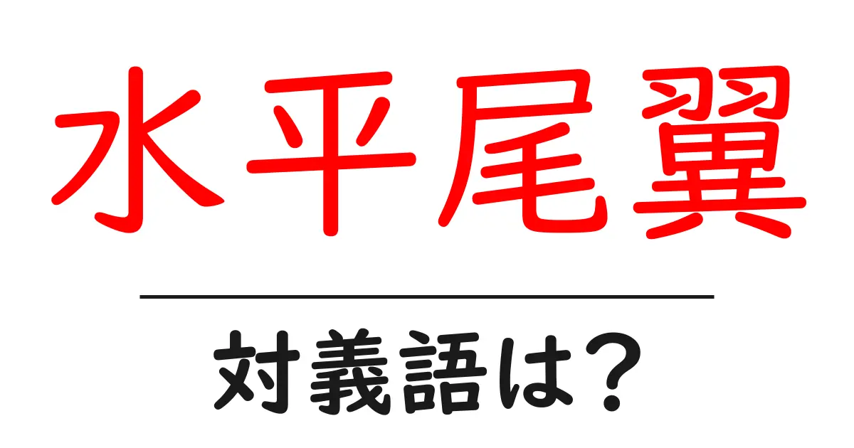 水平尾翼の対義語・反対語を使用例を交えて分かりやすく解説!