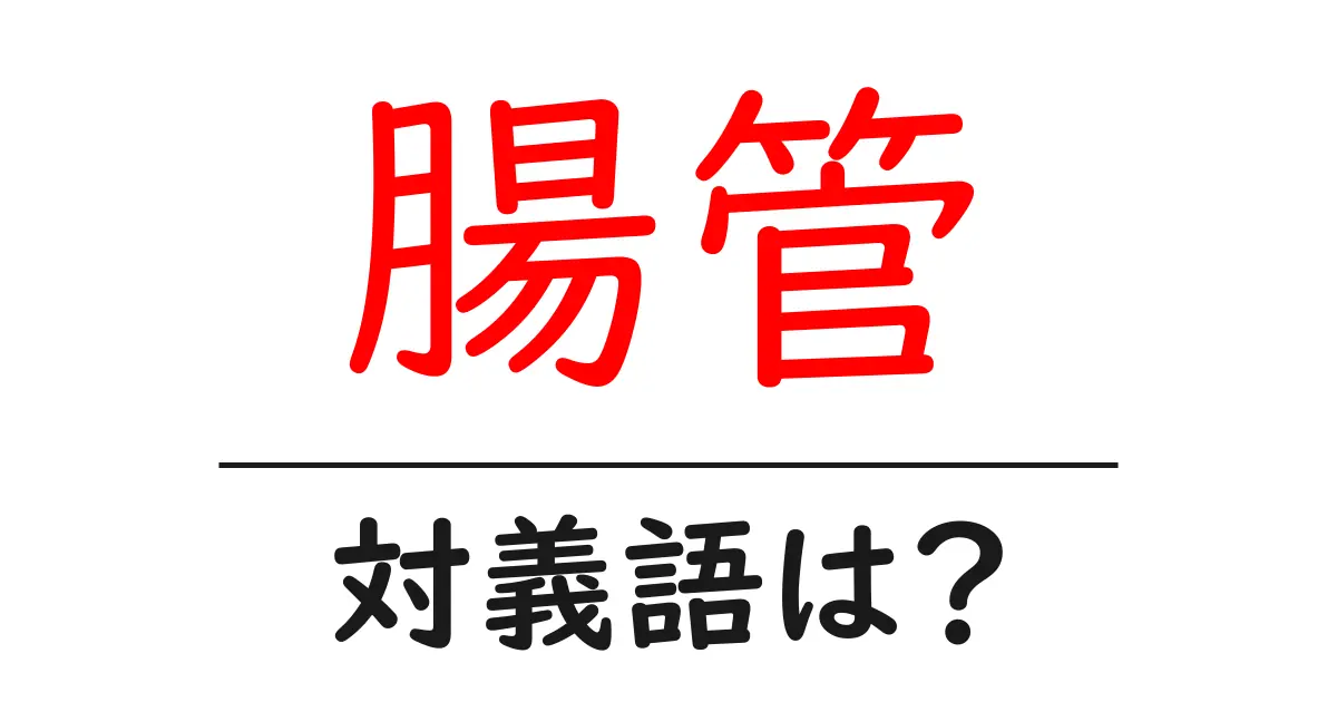 腸管の対義語・反対語を使用例を交えて分かりやすく解説!