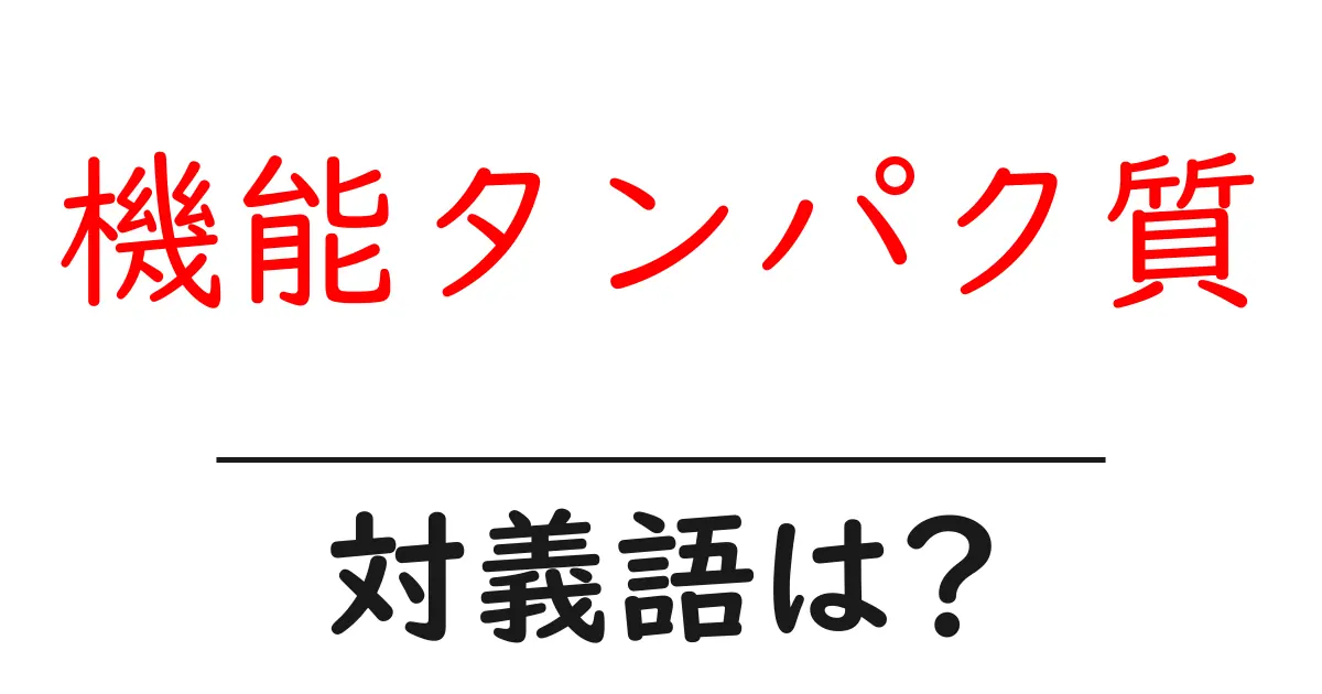 機能タンパク質の対義語・反対語を使用例を交えて分かりやすく解説!