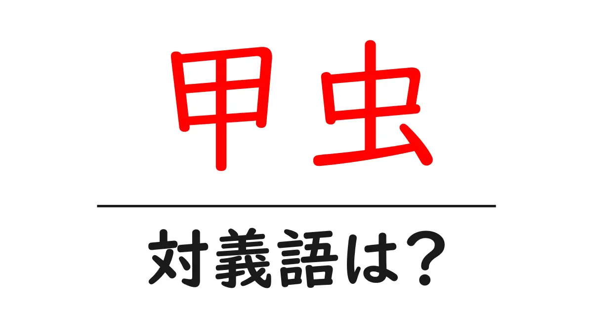 甲虫の対義語・反対語を使用例を交えて分かりやすく解説!