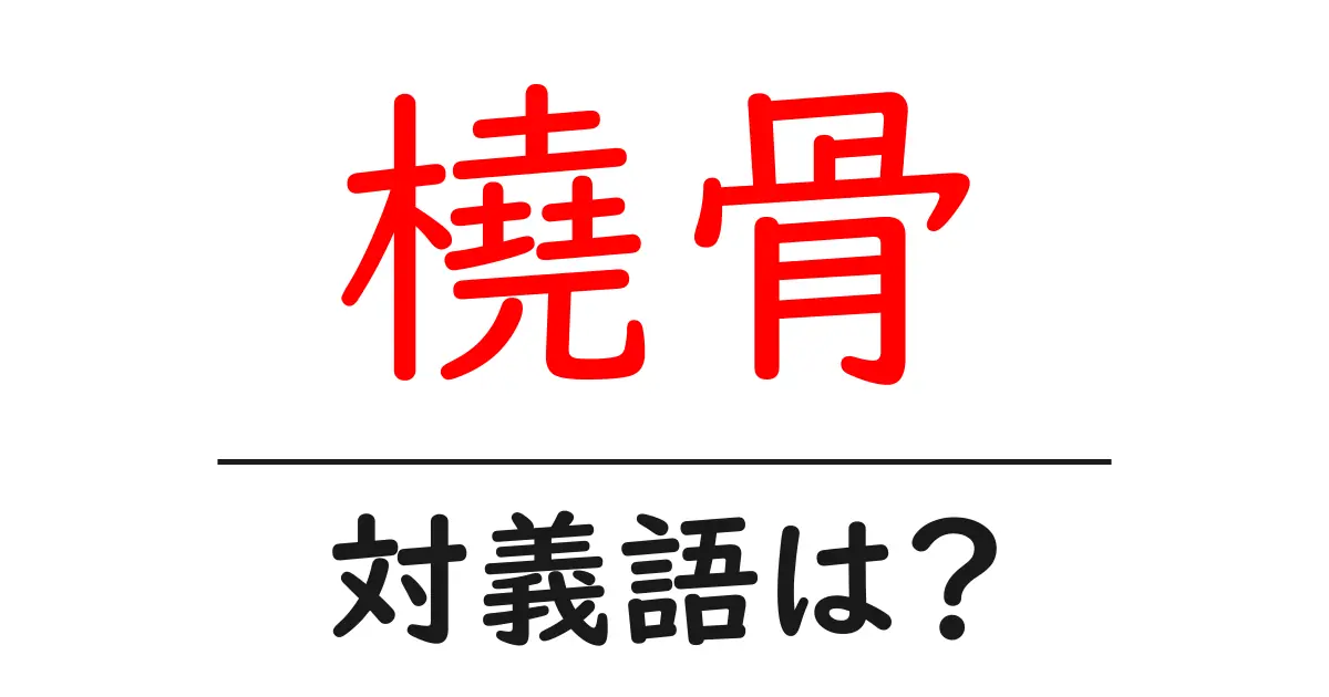 橈骨の対義語・反対語を使用例を交えて分かりやすく解説!