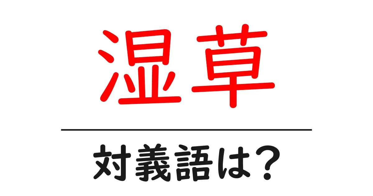 湿草の対義語・反対語を使用例を交えて分かりやすく解説!