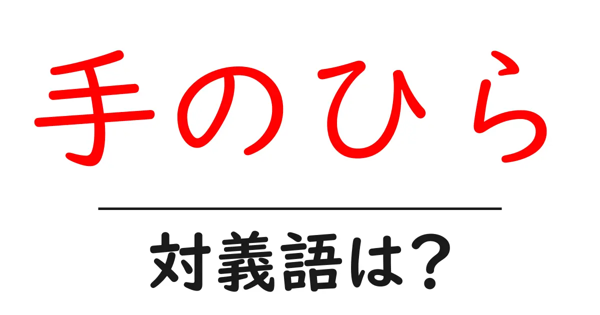 手のひらの対義語・反対語を使用例を交えて分かりやすく解説!