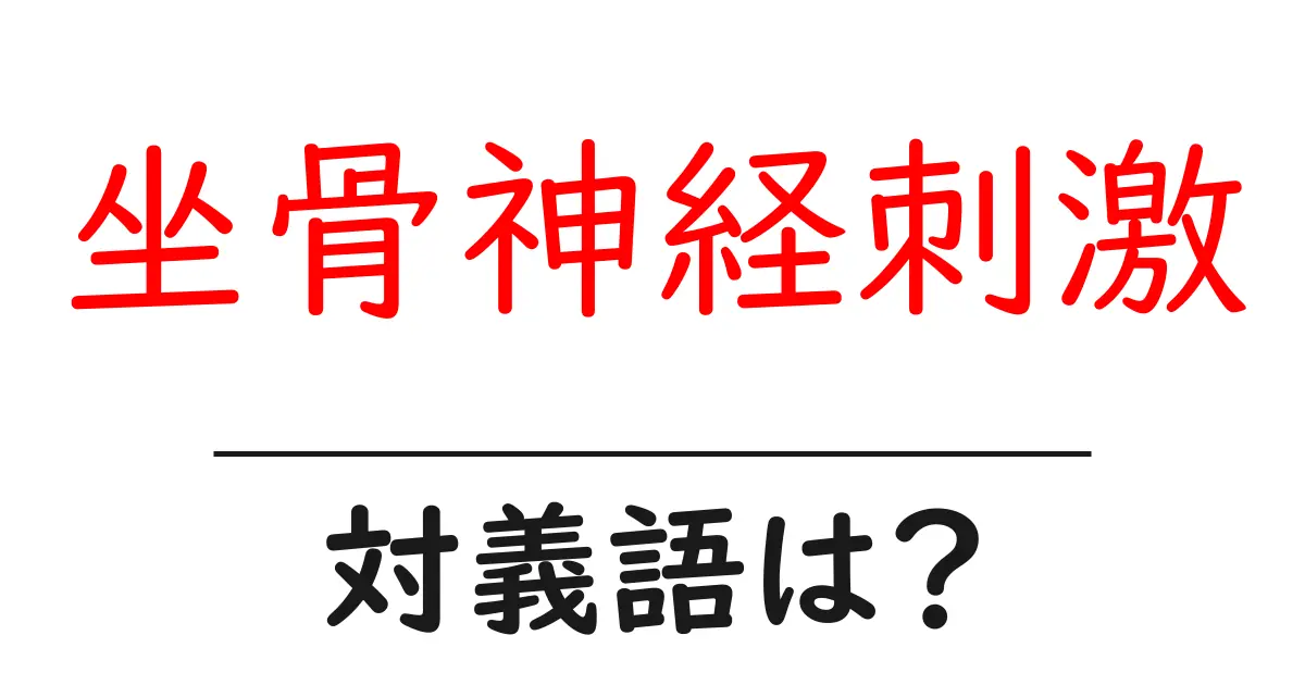 坐骨神経刺激の対義語・反対語を使用例を交えて分かりやすく解説!