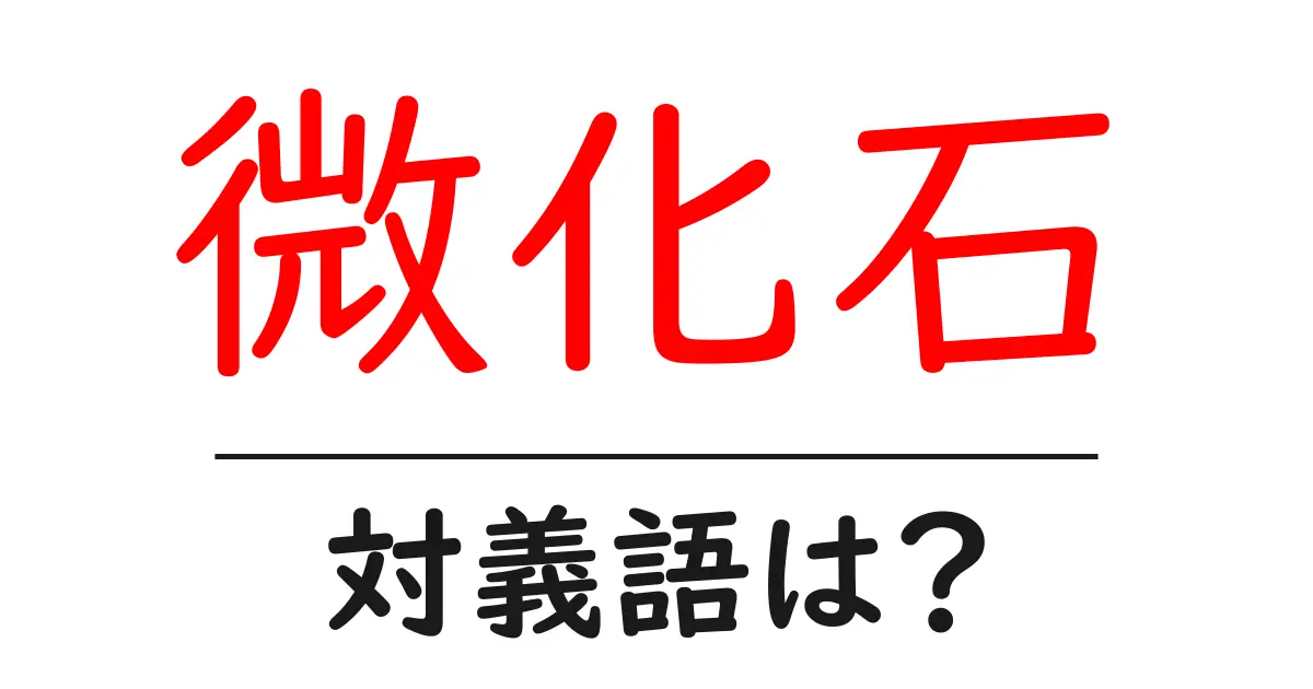 微化石の対義語・反対語を使用例を交えて分かりやすく解説!