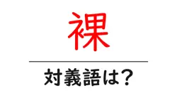 裸の対義語・反対語を使用例を交えて分かりやすく解説！