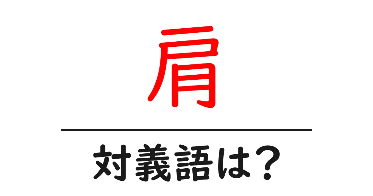 肩の対義語・反対語を使用例を交えて分かりやすく解説!
